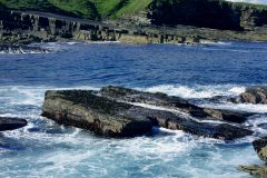 DSC07844-scaled