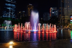 DSC09503