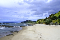 DSC01846