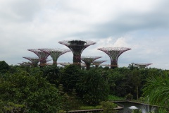 Supertree Grove
